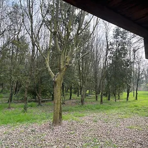 Green Woods Apartmán